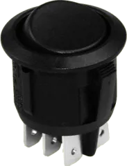 WIP14A04 - Wippenschalter DPST Ein-Aus 10A 250V sw