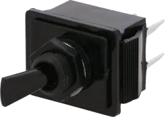 C1750HOSW - Toggle Switch DPST 16A/250V Black