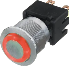 MSM22SSR-RT - Schalter DPST-NO 250V/12A Ring rot