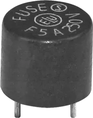 FSKK00,08 - Miniatur Fuse short 0,08 A Time-lag